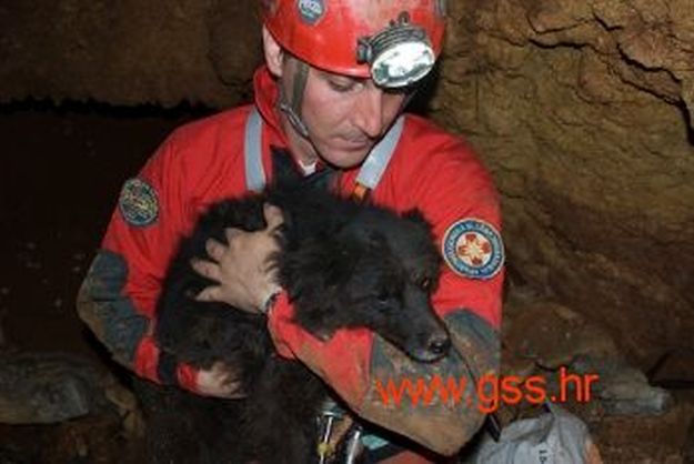 HGSS-ovci iz jame izvukli promrzlog i uplašenog psa