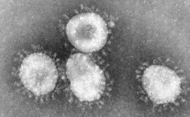 Novi virus izazvao ukupno 23 smrti: U Francuskoj umro pacijent zaražen koronavirusom