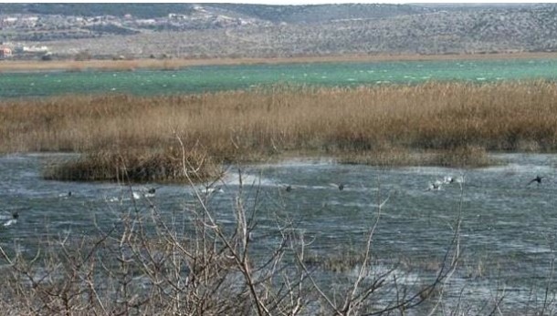 Promatrači ptica još ne znaju za Vransko jezero