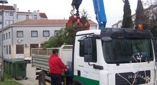 Kako pravilno odlagati božićna drvaca