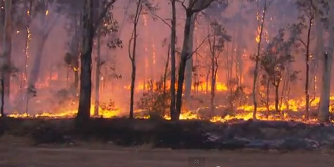 AUSTRALIJA NA +40 Mobilizirani deseci tisuća vatrogasaca, stanje je kritično