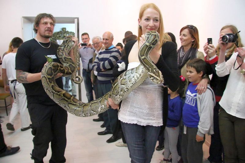 Izložba zmija u Prirodoslovnom odjelu Narodnog muzeja Zadar