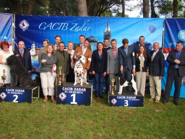 Na CACIB Zadar Dog Show 2014. do sada rekordnih 4.000 “lajavaca”