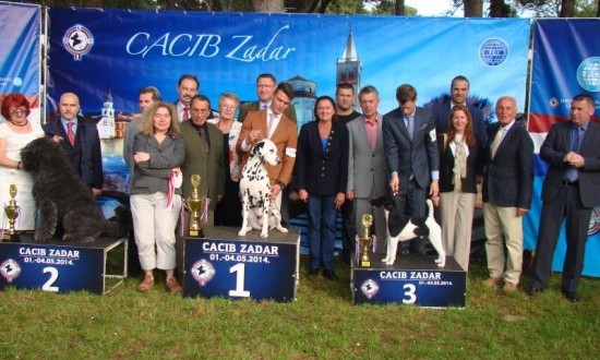 Na CACIB Zadar Dog Show 2014. do sada rekordnih 4.000 “lajavaca”