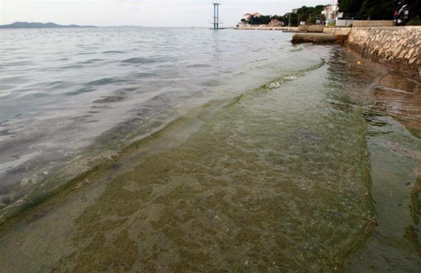 Uljna mrlja uočena u moru kod bazena Kolovare