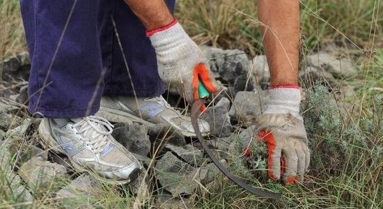 PROSVJED PROTIV ILEGALNIH BERAČA SMILJA Prosvjed berača pretvorio u verbalni sukob, svađu, vrijeđanje i prozivanja