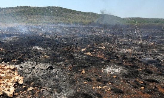 Uhićena žena (45) zbog izazivanja požara