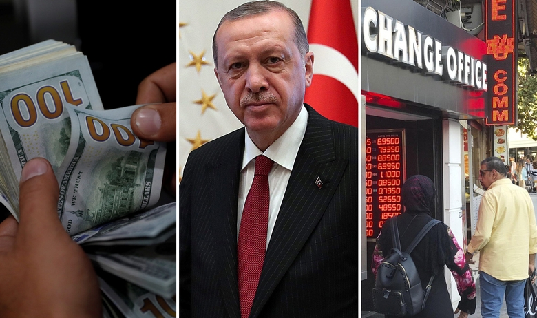 Turska potrošila trećinu deviznih rezervi na obranu valute, ali lira nastavlja padati