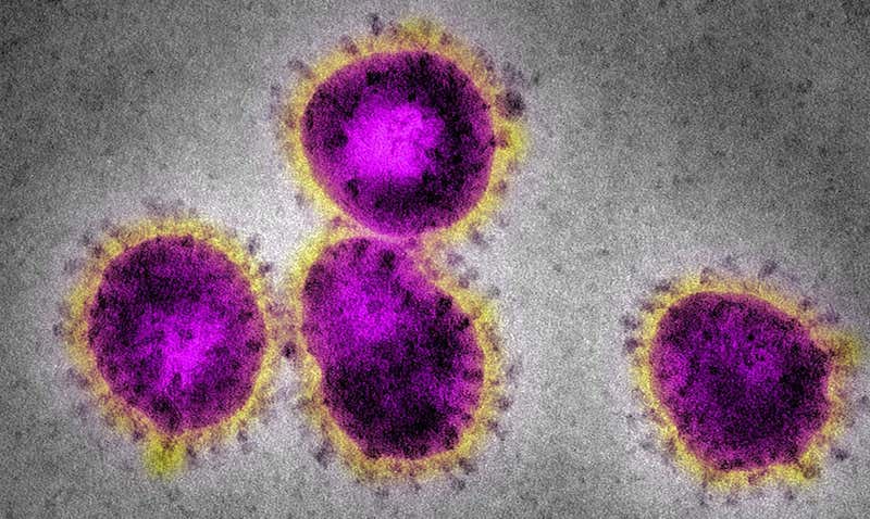 Koronavirus može preživjeti u zraku 3 sata, a na plastici danima