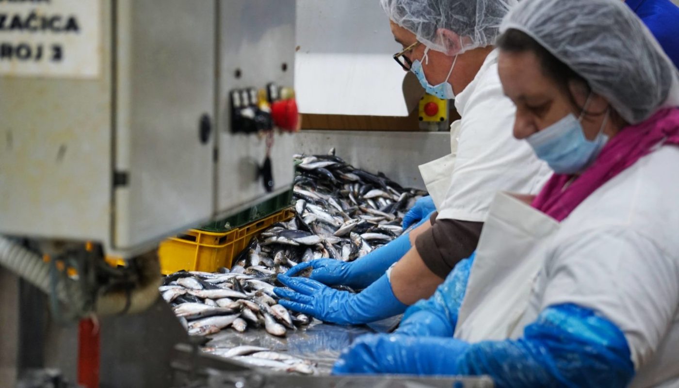 Kako je tvornica ribljih konzervi kroz desetljeća spašavala malo mjesto na Dugom otoku od masovnog iseljavanja