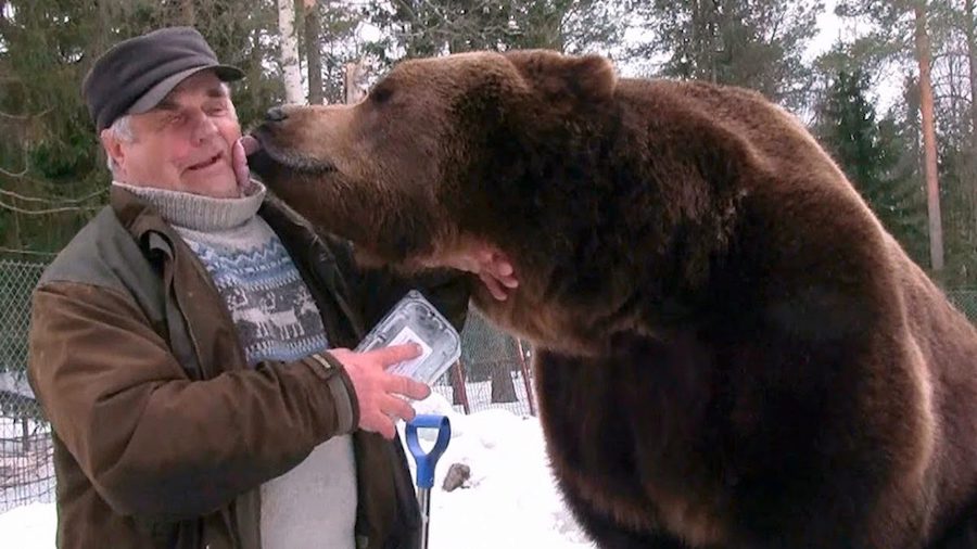WWF: Gorski Kotar i Lika – izvrstan primjer suživota medvjeda i čovjeka (samo što je i jednih i drugih tamo sve manje)