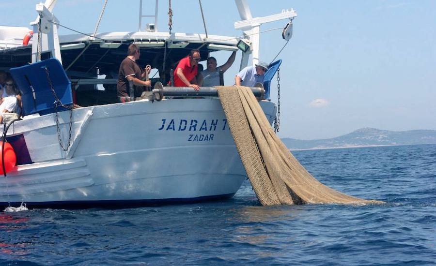 Prijatelji životinja traže zabranu koćarenja u Jadranskom moru